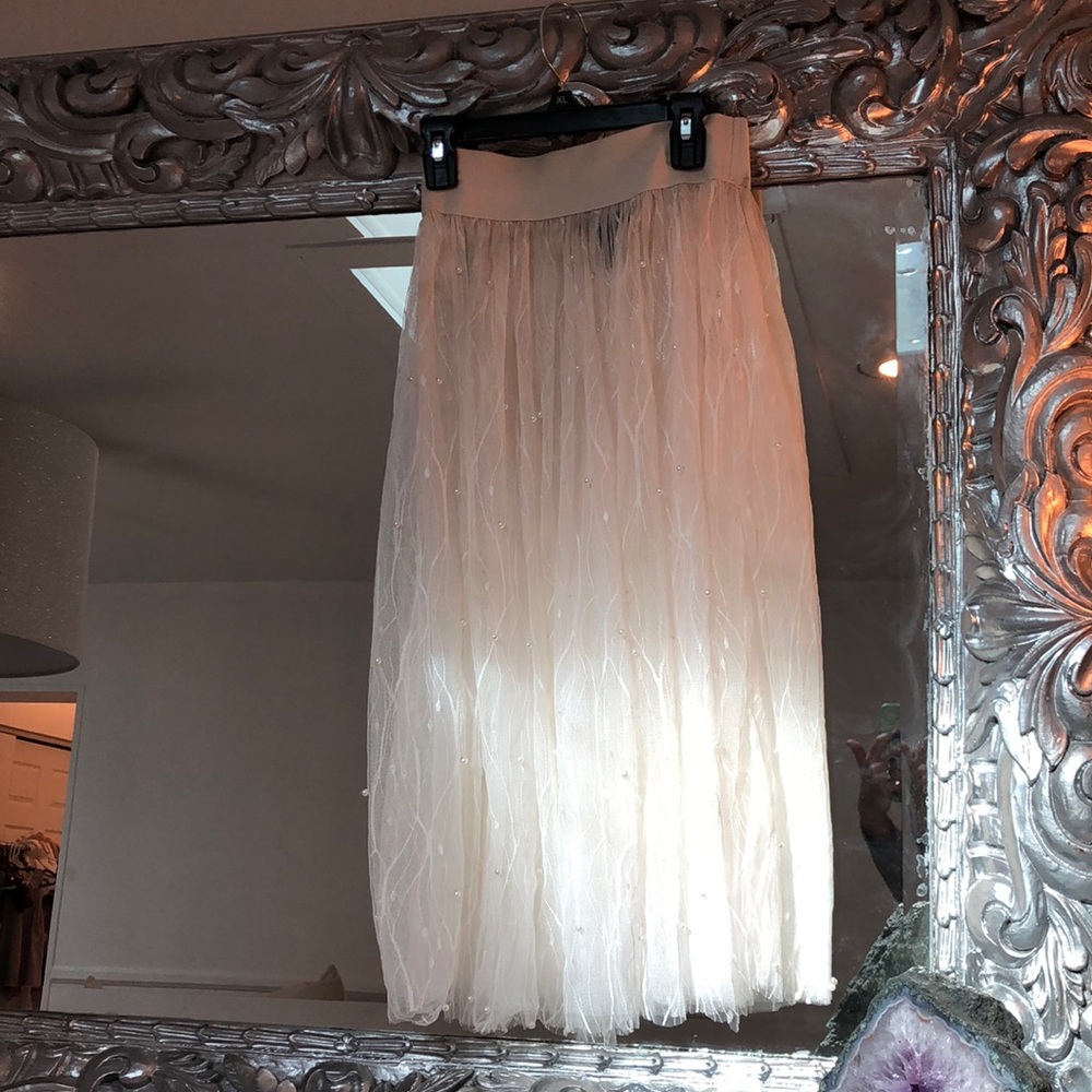 Beaded chiffon skirt